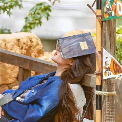 我的英雄学院：两位英雄