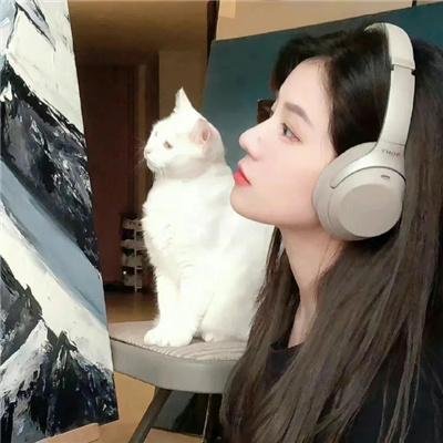 战地花开